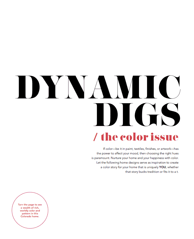 Dynamic Digs Article about Denver Interior Designer Project