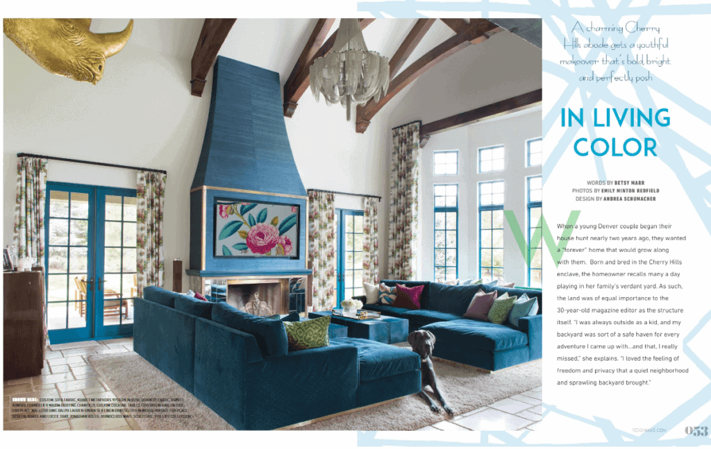 Andrea Schumacher Denver residential interior designer featured in Reign magazine