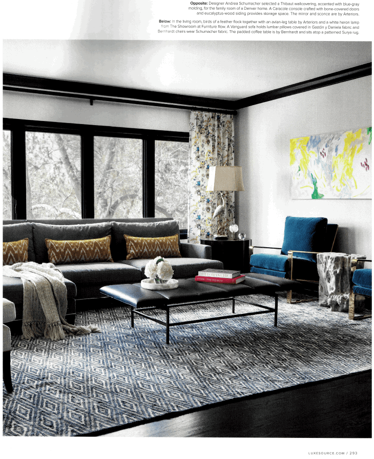 Andrea Schumacher Interiors family room design in Luxe Magazine