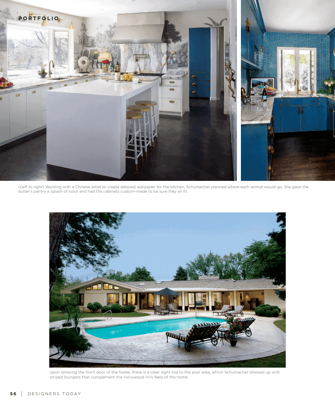 Designer Kitchen and Butler Pantry in Magazine
