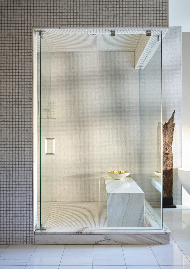 ultra modern bathroom shower design in Denver Home Renovation