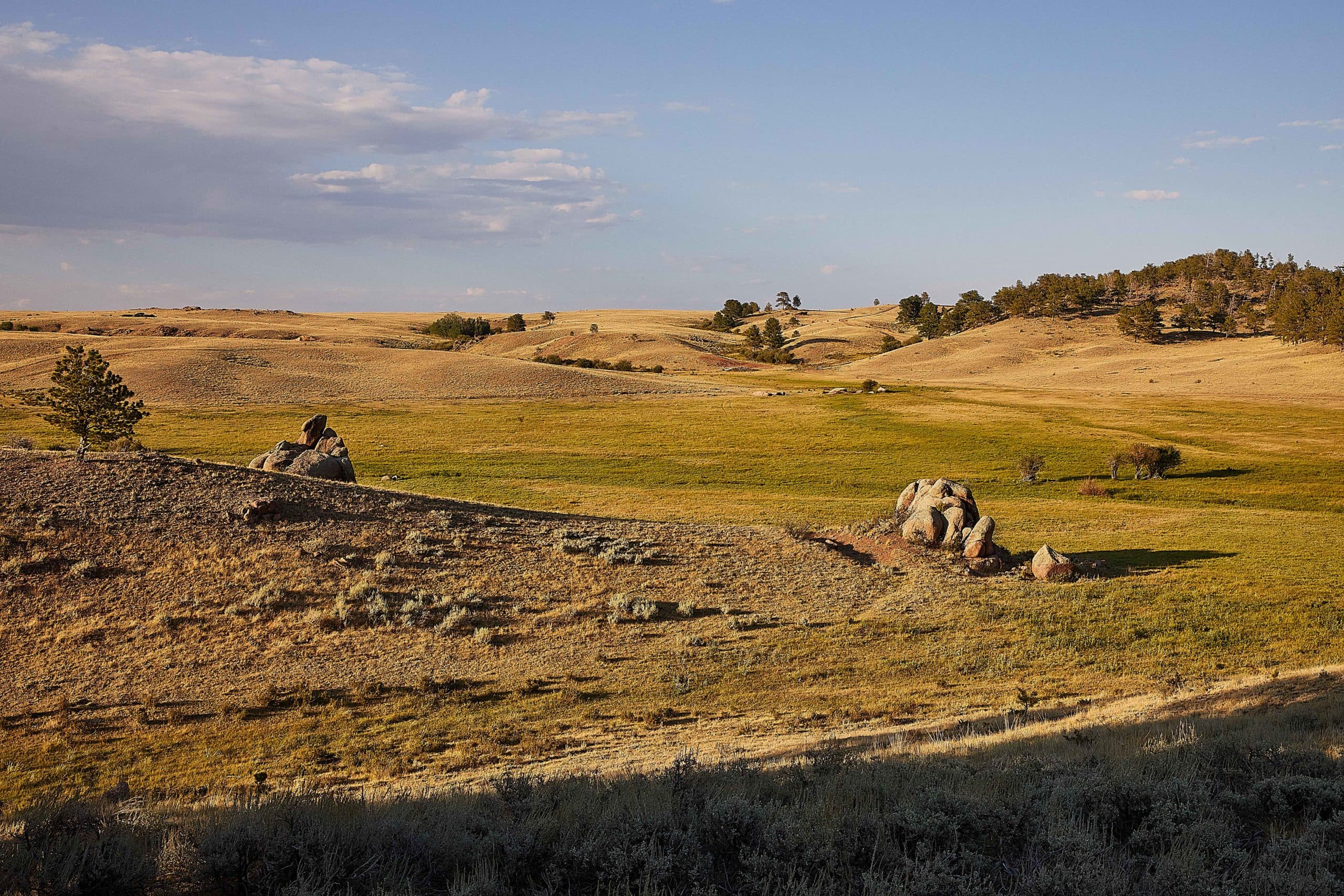 Wyoming interior design project location