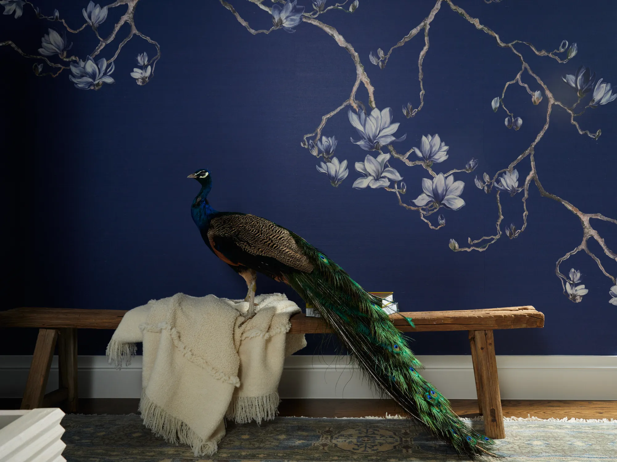 Cherry Hills bedroom peacock decor cobalt wall wallpaper